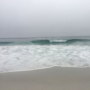 Meet your Posher, Janel